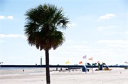 Biloxi 2431